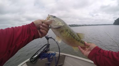 2 pound Spotted Bass Lake Hickory  Jig Fishing.