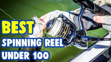 Best Spinning Reels Under $100 In 2021 [ Top Models Reviewed! ]