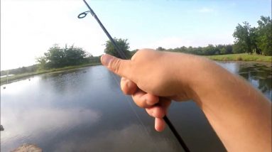 BlueGill Fishing in Oklahoma