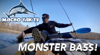 Catching a Monster Bass!