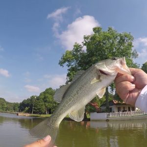 First Catch with my GoPro