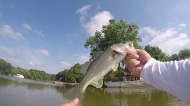 First Catch with my GoPro