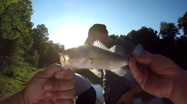 IT TAKES TWO GUYS TO CATCH ONE LITTLE BASS!