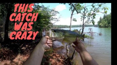Lake James State Park Multi-Species Fishing
