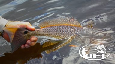 Online Fishing Tournament | Fish anywhere! Anytime!