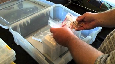 Organizing Fishing Tackle for Your Boat