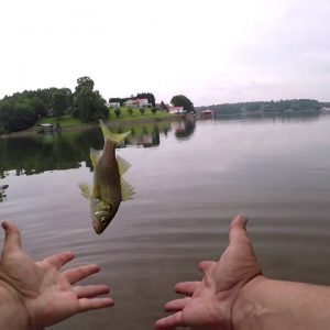 Panfishing with Lures Part 1