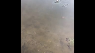 Sneak peek of the next video. Stay tuned it’s coming out soon