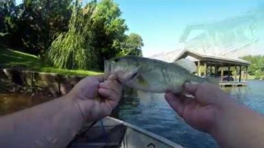 Suprise Unboxing!!! and Dock skipping Bass action!!