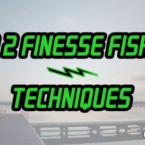 Top 2 Finesse Fishing Techniques