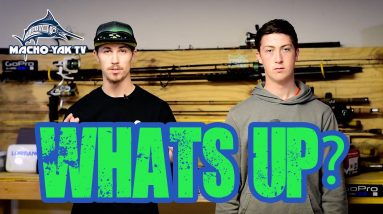 Whats up Latetly?!?!