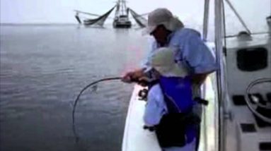 Zale's Big Cobia