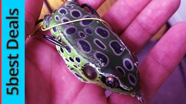 5 Best Fishing Lure in 2021