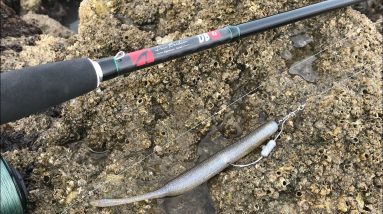 A bad days fishing beats a day at work