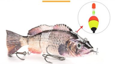 Animated fishing Lure Reviews | Animated Lure Reviews