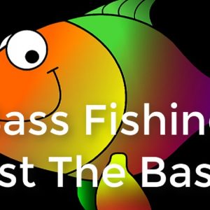Bass Fishing Just the Basics Gifts For Fishermen
