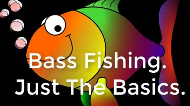 Bass Fishing Just the Basics Gifts For Fishermen