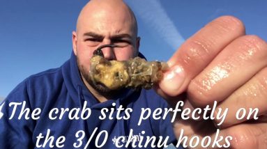 Beach fishing off aberthaw west