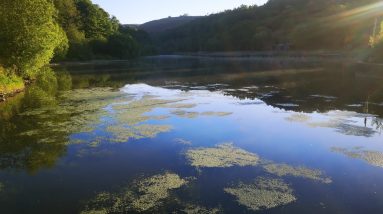 Catching a rainbow trout on a bombarda