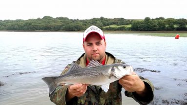 Catching Bass and mackerel from the shore