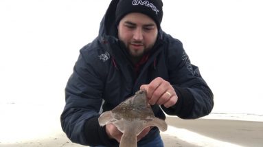 Catching plaice and whiting