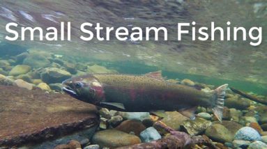 Christmas Gifts for Fishermen--Small Stream Fishing