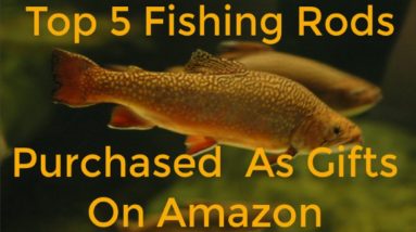 Christmas Gifts for fishermen-Top Rated Fishing Rods