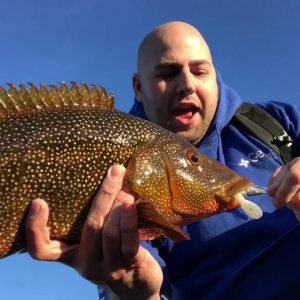 fishing for wrasse with lures part 1