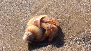 Fishing Nash sands ( monknash)