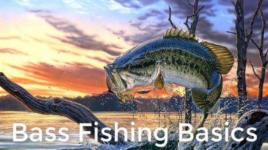 Gifts For Bass Fishermen--Bass Fishing Basics
