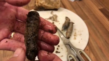 How to make black lugworm and squid wraps