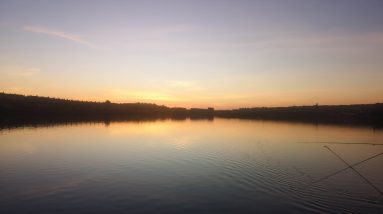 HUGE BASS on lrf tactics