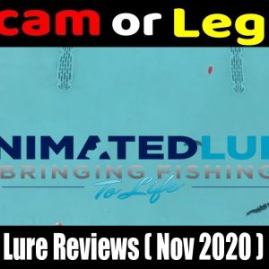 Animated Lure Reviews (Nov 2020) ! Is animatedlure.com scam or legit website?