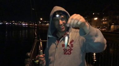 Lrf Fishing - Isome Worm