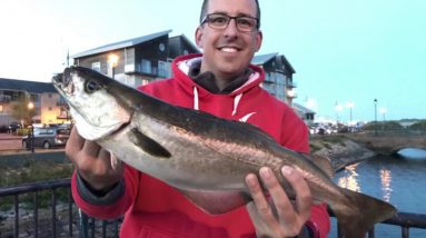 Lure fishing in to dark down Barry dock