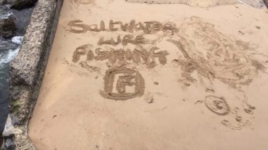 Lure fishing mumbles in Swansea