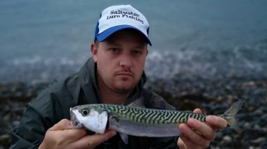 Saltwater lure fishing in Guernsey
