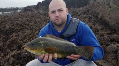 Shore fishing - rock fishing for wrasse  part 2
