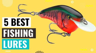 Top 5 Best Fishing Lures Reviews 2022